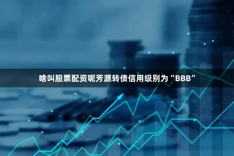 啥叫股票配资呢芳源转债信用级别为“BBB”