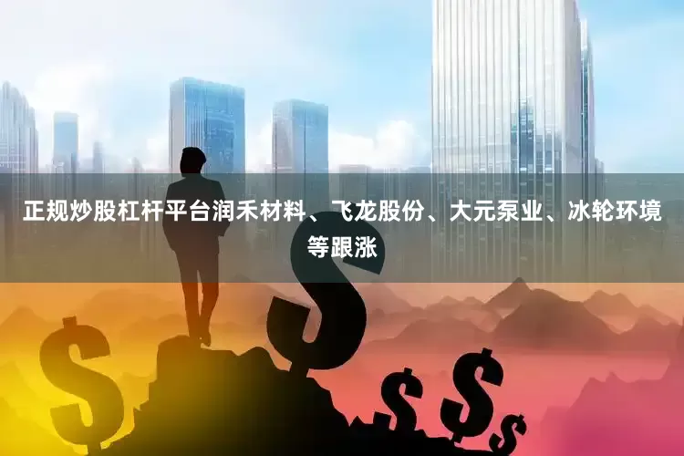 正规炒股杠杆平台润禾材料、飞龙股份、大元泵业、冰轮环境等跟涨